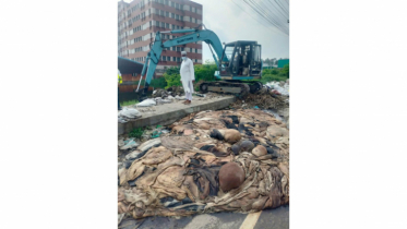 সাংবাদিক আলামিনের অনুরোধে না.গঞ্জ লিংক রোডের পশুর চামড়া অপসারন করলেন ইউএনও সাংবাদিক আলামিনের অনুরোধে না.গঞ্জ লিংক রোডের পশুর চামড়া অপসারন করলেন ইউএনও