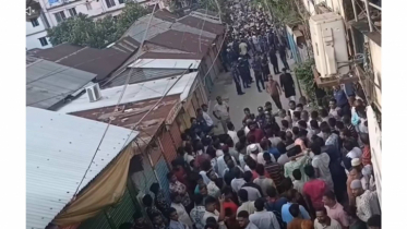 আড়াইহাজারে বিএনপি-জামায়াতের মিছিলে উত্তেজনা, মুখোমুখি অবস্থান