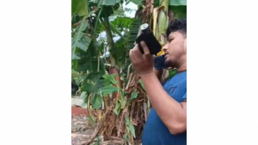 এক হাতে মোবাইল, অন্য হাতে অস্ত্র, ভাইরাল ছাত্রদল নেতার ভাই শান্ত