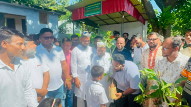 সোনারগাঁওয়ে ‘ওয়ান স্টুডেন্ট, ওয়ান ট্রি’ কর্মসূচি, দুই শতাধিক শিক্ষার্থীর মাঝে বৃক্ষ বিতরণ সোনারগাঁওয়ে ‘ওয়ান স্টুডেন্ট, ওয়ান ট্রি’ কর্মসূচি, দুই শতাধিক শিক্ষার্থীর মাঝে বৃক্ষ বিতরণ