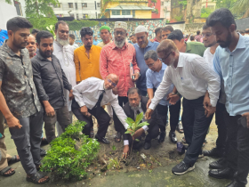 না.গঞ্জে মহানগর বিএনপির বৃক্ষরোপণ কর্মসূচি