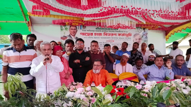 আমার এলাকায় দুই লাখ গাছ লাগানো হবে: মান্নান আমার এলাকায় দুই লাখ গাছ লাগানো হবে: মান্নান