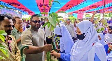 ‘সবুজ বাংলাদেশ’ গড়ার প্রত্যয়ে শিক্ষার্থীদের মাঝে ফলজ চারা ও ছাতা বিতরণ