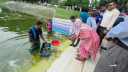 সোনারগাঁয়ে ২৫০ কেজি মাছের পোনা অবমুক্ত সোনারগাঁয়ে ২৫০ কেজি মাছের পোনা অবমুক্ত