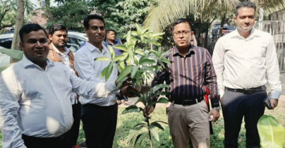 রূপগঞ্জের কোনো ভূমি অফিসে দালাল থাকবে না: জেলা প্রশাসক