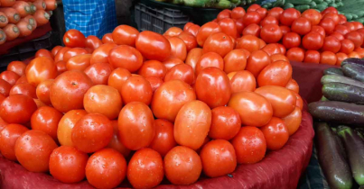 না.গঞ্জে টমেটো ২৮০ টাকা কেজি
